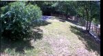 Security Camera view of the parking area